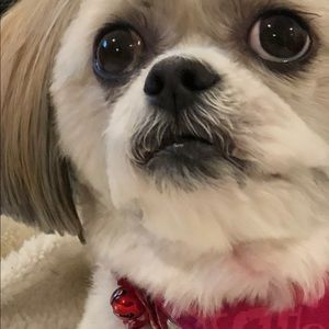 Meet your Posher, Nadine